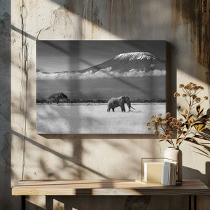 Tablou canvas „Lost Colors II” de Ibrahim Canakci