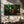 Tablou canvas „Christmas Madness” de Christophe Kiciak