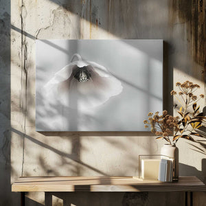 Tablou canvas „Ephemeral Beauty” de Piet Flour