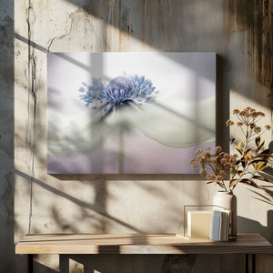Tablou canvas „a n e m o n e” de Mandy Disher