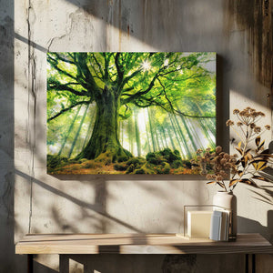 Tablou canvas „Ponthus' Beech” de Christophe Kiciak