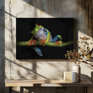Tablou canvas „Curiosity” de Ferdinando Valverde