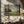 Tablou canvas „Bison in Morning Light” de Sandipan Biswas