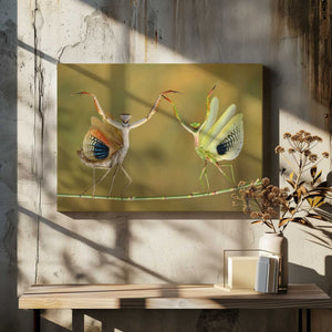 Tablou canvas „Show Time” de Hasan Baglar