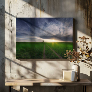 Tablou canvas „loner in the sun” de Piotr Krol (Bax)