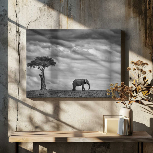 Tablou canvas „Elephant Landscape” de Mario Moreno