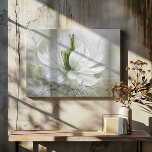 Tablou canvas „Nigella” de Mandy Disher