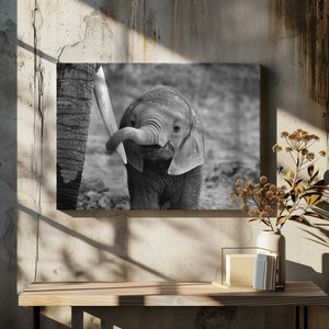 Tablou canvas „Close” de Bjoern Alicke