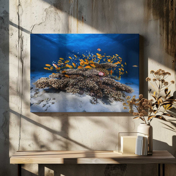Tablou canvas „Marine Life” de Barathieu Gabriel