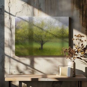 Tablou canvas „The Cat by the Tree” de Arne Östlund