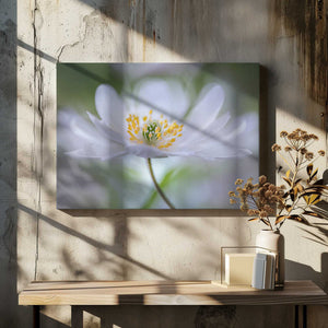 Tablou canvas „Nemorosa Nirvana” de Mandy Disher
