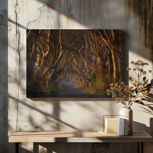 Tablou canvas „The Dark Hedges in the Morning Sunshine” de Piotr Galus