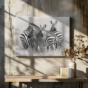 Tablou canvas „Zebras” de Kirill Trubitsyn
