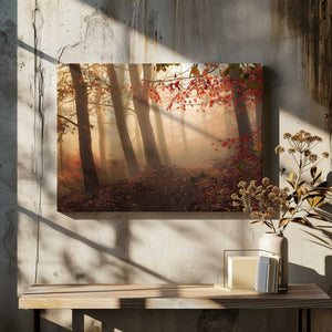 Tablou canvas „Towards the light.” de Leif Løndal
