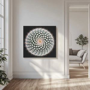 Tablou canvas „Notocactus scopa” de Victor Mozqueda