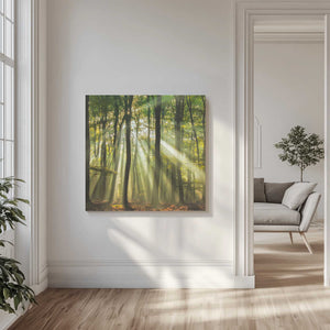 Tablou canvas „Sunny start to the day ........” de Piet Haaksma