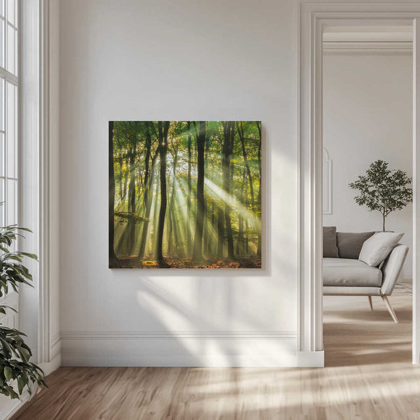 Tablou canvas „Sunny start to the day ........” de Piet Haaksma