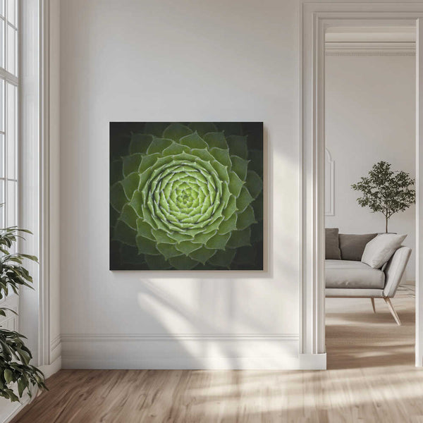 Tablou canvas „Succulent” de Victor Mozqueda