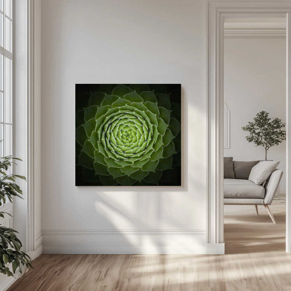 Tablou canvas „Succulent” de Victor Mozqueda
