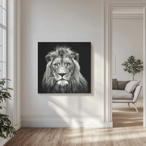 Tablou canvas „Young Male Lion” de Christian Meermann