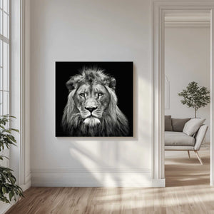 Tablou canvas „Young Male Lion” de Christian Meermann