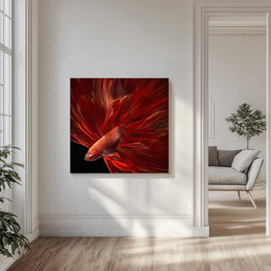 Tablou canvas „Red Fire Bettafish” de Antonyus Bunjamin (Abe)