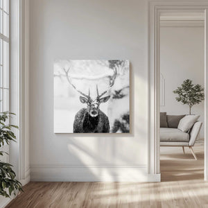 Tablou canvas „Male deer in heavy snow” de Alexandru Handrache
