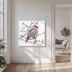 Tablou canvas „Can you say “who’s a pretty bird?”” de Kimberly