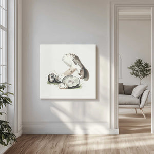 Tablou canvas „Vintage Agaricus Augustus Mushroom” de Biodiversity Heritage Library
