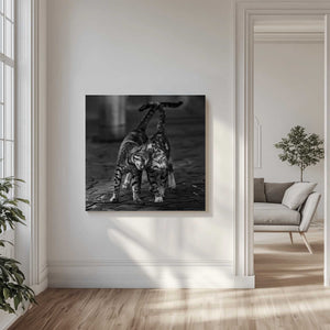 Tablou canvas „Untitled” de nebula