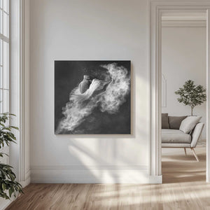 Tablou canvas „Down to Earth” de Antonyus Bunjamin (Abe)
