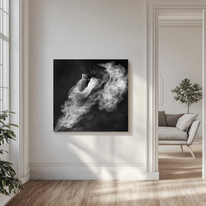 Tablou canvas „Down to Earth” de Antonyus Bunjamin (Abe)