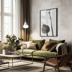 Tablou înramat „Dried_005” de Pictufy Studio III