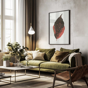 Tablou înramat „Acalypha Tricolor Leaf Illustration” de Les Plantes a Feuillage Colore