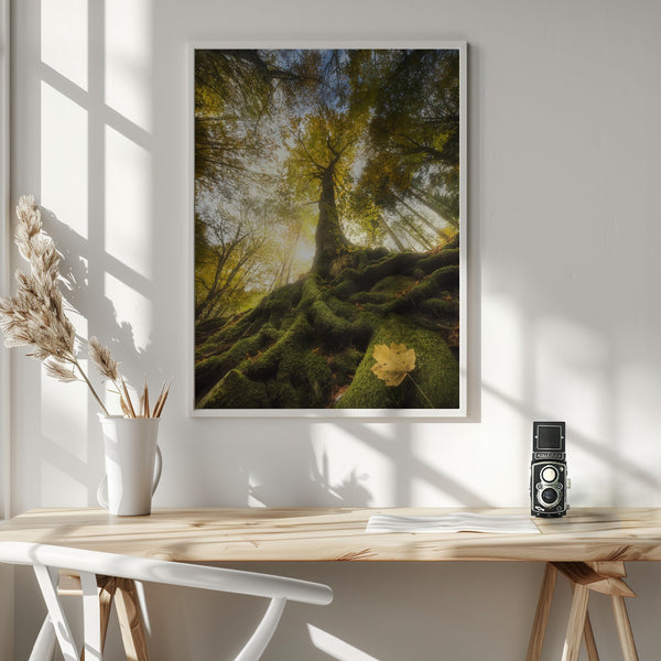 Tablou înramat „The goodbye of a leaf” de Alberto Ghizzi Panizza