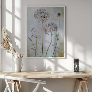 Tablou înramat „Allium” de Mandy Disher
