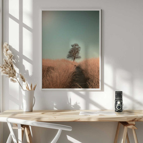 Tablou înramat „Grass and Path” de Jaap van den Helm