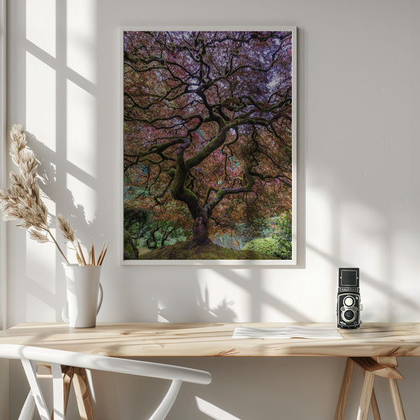 Tablou înramat „Japanese Maple Tree” de Mike Centioli