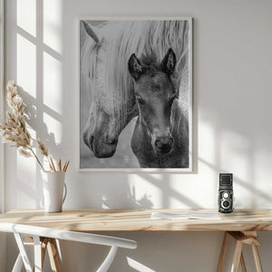 Tablou înramat „The Foal” de Jacky Parker