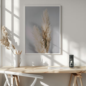 Tablou înramat „Pampas Grass Grey” de Pictufy Studio III