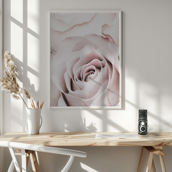 Tablou înramat „Pink Rose No 05” de Pictufy Studio III