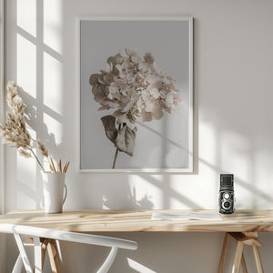 Tablou înramat „Beige dried flower” de Pictufy Studio III