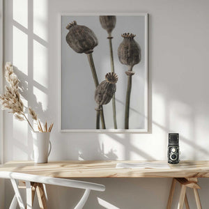 Tablou înramat „Dried_006” de Pictufy Studio III