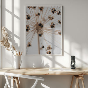 Tablou înramat „Dried_007” de Pictufy Studio III