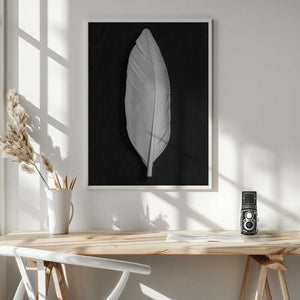Tablou înramat „Feather_008” de Pictufy Studio III