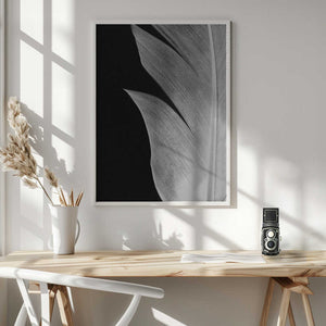 Tablou înramat „Feather_005” de Pictufy Studio III