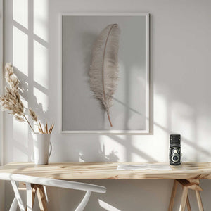 Tablou înramat „Feather_002” de Pictufy Studio III