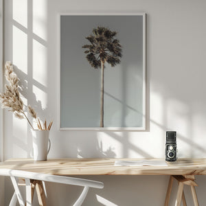Tablou înramat „Palm_001” de Pictufy Studio III