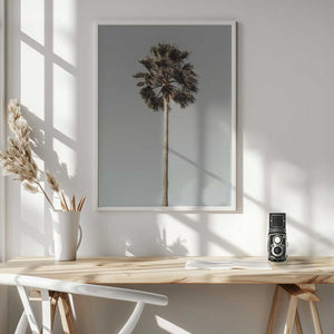 Tablou înramat „Palm_001” de Pictufy Studio III