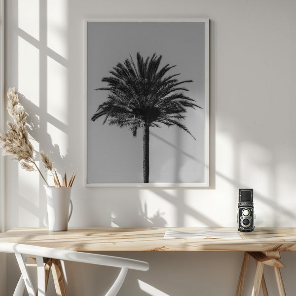 Tablou înramat „Palm_003” de Pictufy Studio III